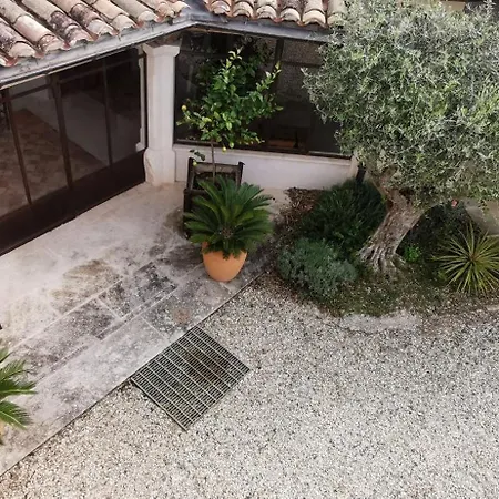 De Reve A Calaven Drome Provencale *